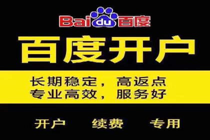 百度推广平台：从零到一的营销策略案例